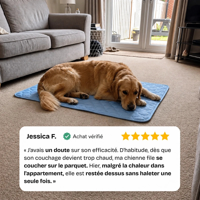 Le tapis rafraîchissant pour chien | MagicPaw™