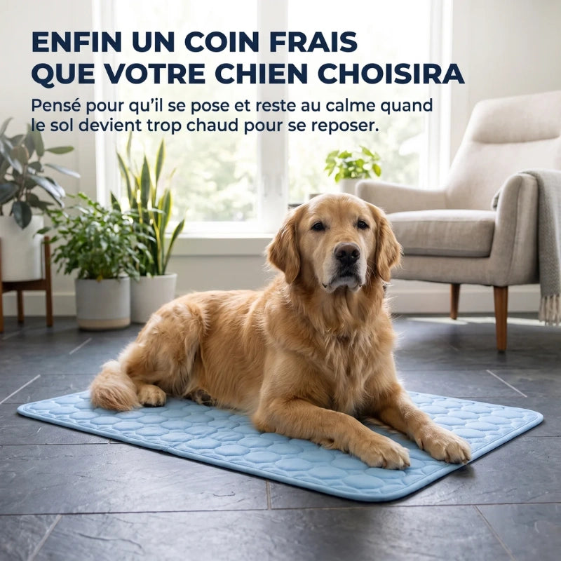 Le tapis rafraîchissant pour chien | MagicPaw™