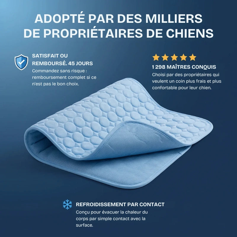 Le tapis rafraîchissant pour chien | MagicPaw™