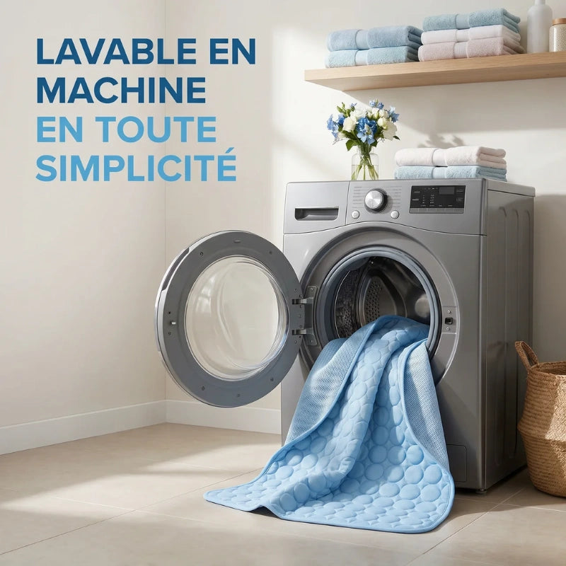 Le tapis rafraîchissant pour chien | MagicPaw™