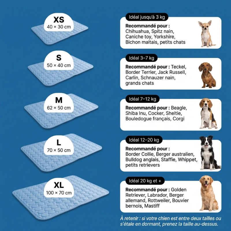 Le tapis rafraîchissant pour chien | MagicPaw™