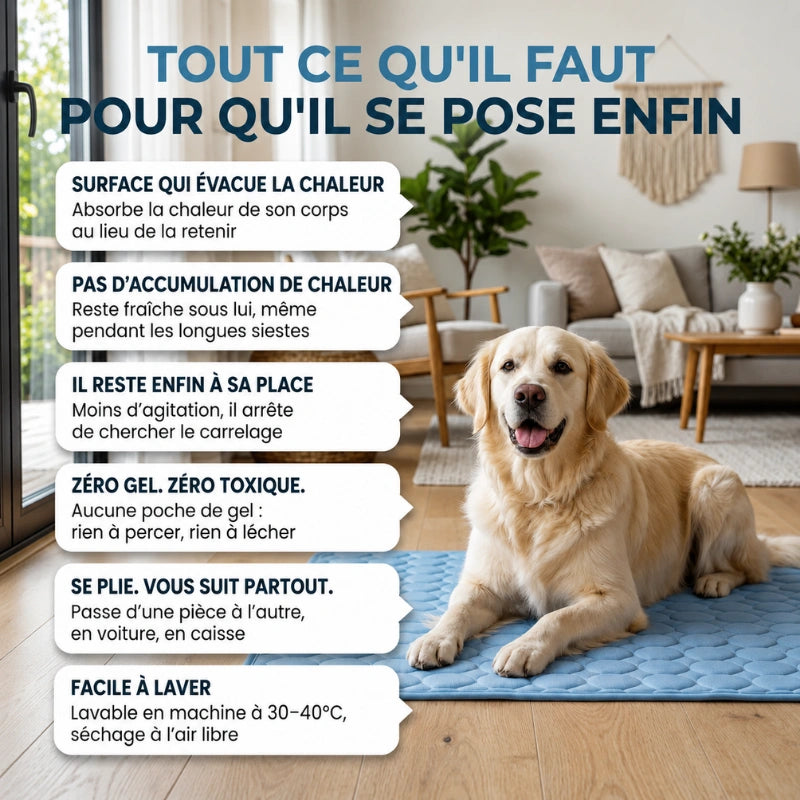 Le tapis rafraîchissant pour chien | MagicPaw™