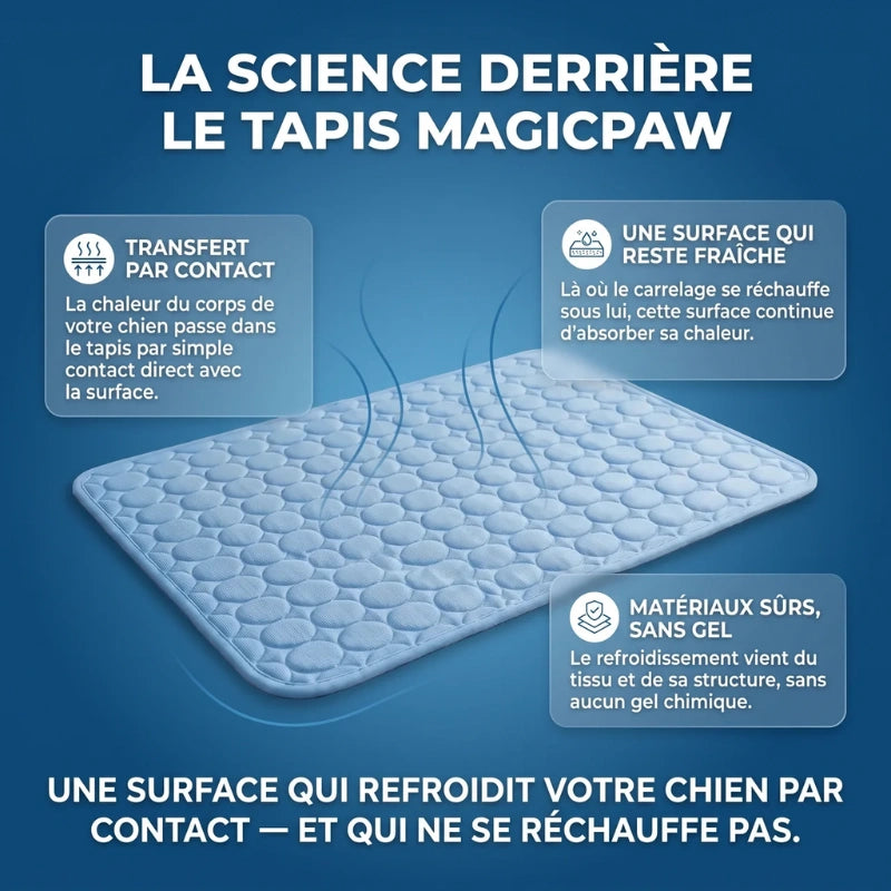 Le tapis rafraîchissant pour chien | MagicPaw™