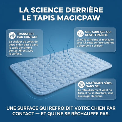 Le tapis rafraîchissant pour chien | MagicPaw™