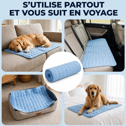 Le tapis rafraîchissant pour chien | MagicPaw™
