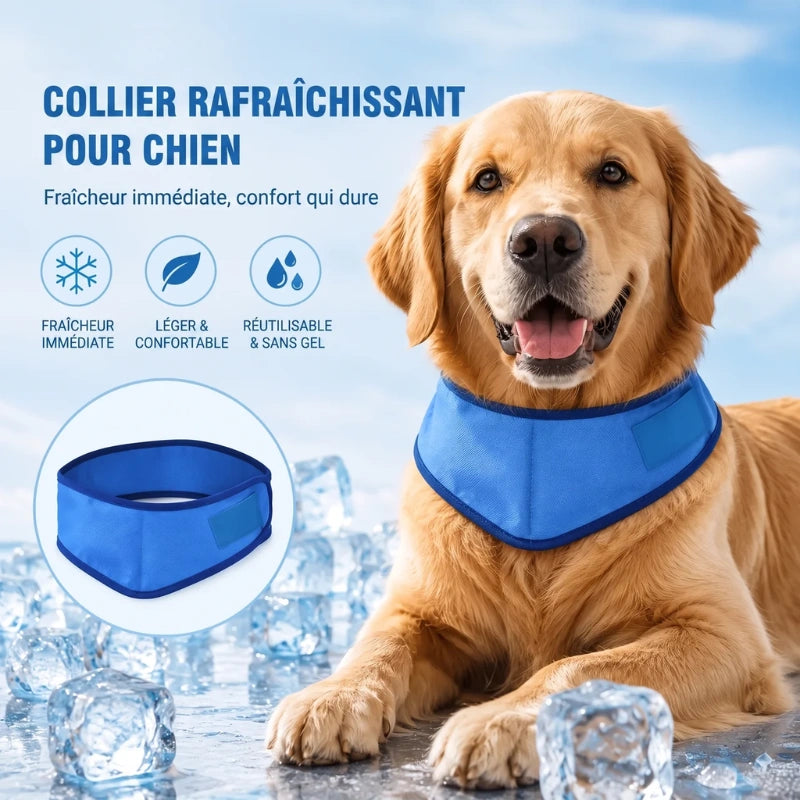 Le collier rafraîchissant pour chien | MagicPaw™
