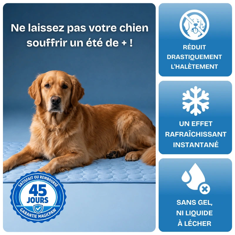 Le tapis rafraîchissant pour chien | MagicPaw™